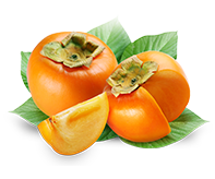 Persimmon