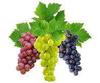 Grapes